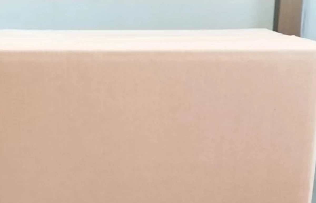Export carton and dispatch — Cliia floor-care programme