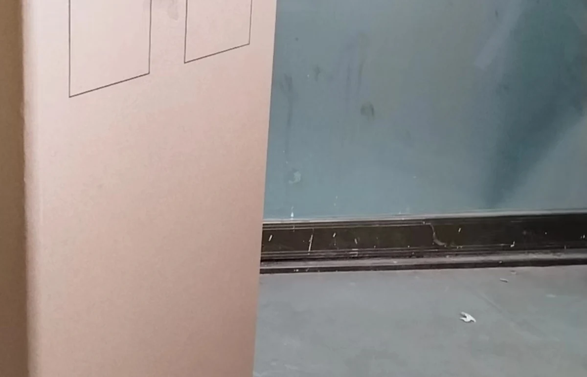 Export carton and dispatch — Cliia floor-care programme